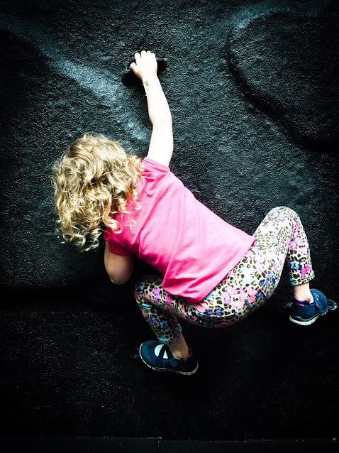 a177b494-036b-4689-9d47-7c854736c09a