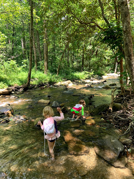 This image has an empty alt attribute; its file name is img_5197.jpg